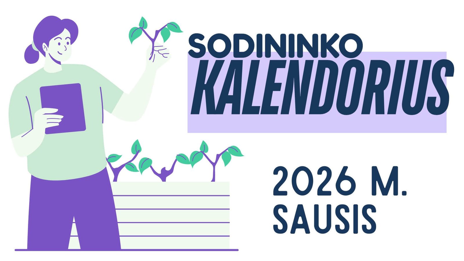 Sodininko darbai 2026 sausį, mėnulio ir sėjos kalendorius