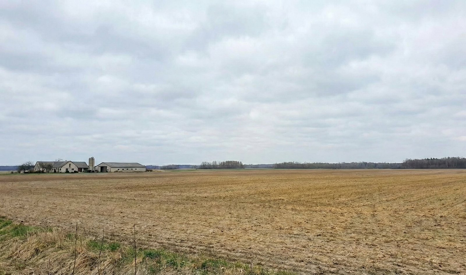 Kada dar galima tręšti mėšlu? Draudimo terminai ir išimtys