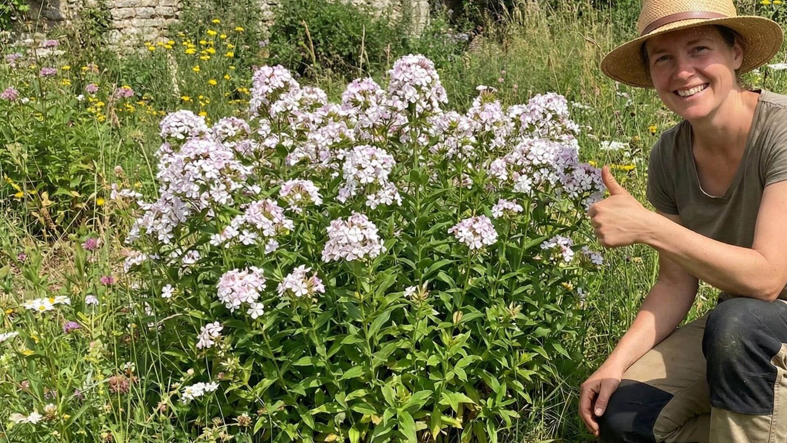 Vaistinis putoklis, 4 dalykai, kuriuos būtina žinoti